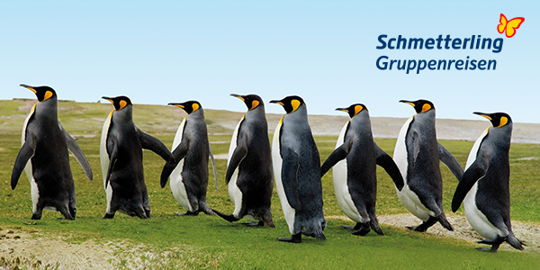 Gruppenreisen Header